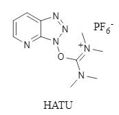 Estructura de HATU