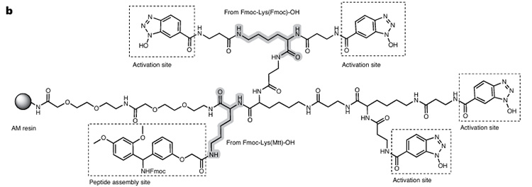 Composición de RMMR