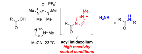 Biotecnología de alta calidad